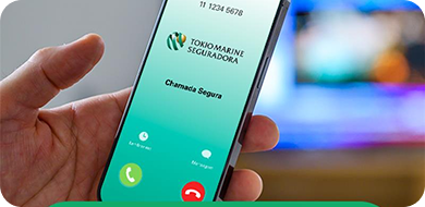 Ligações identificadas